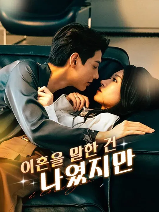 이혼을 말한 건 나였지만 표지