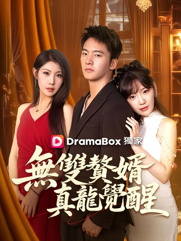 《無雙贅婿：真龍覺醒》封面