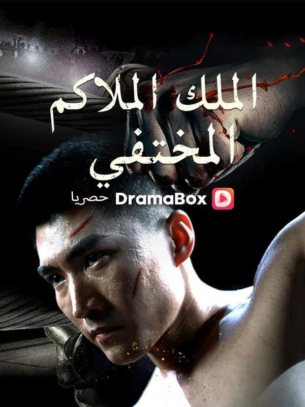غلاف الملك الملاكم المختفي (مدبلج)