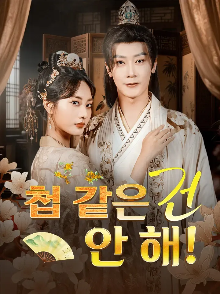 첩 같은 건 안 해! 표지