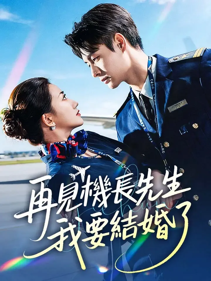 《再見機長先生，我要結婚了》封面