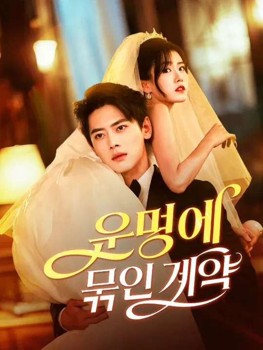 운명에 묶인 계약 표지
