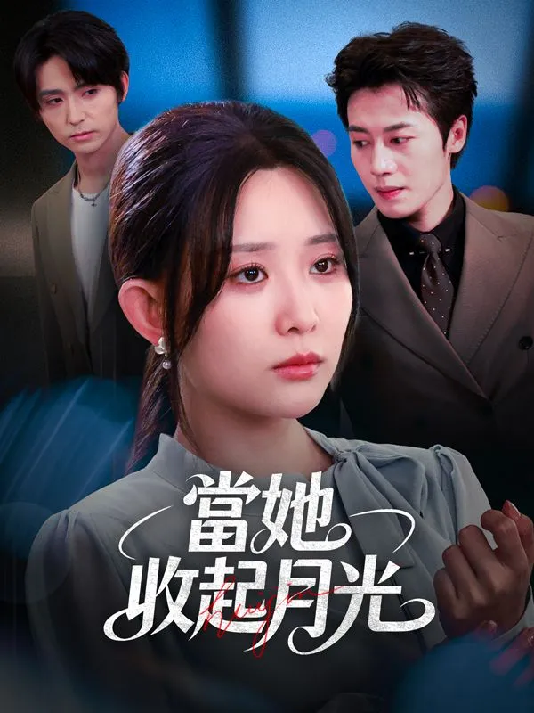 《當她收起月光》封面