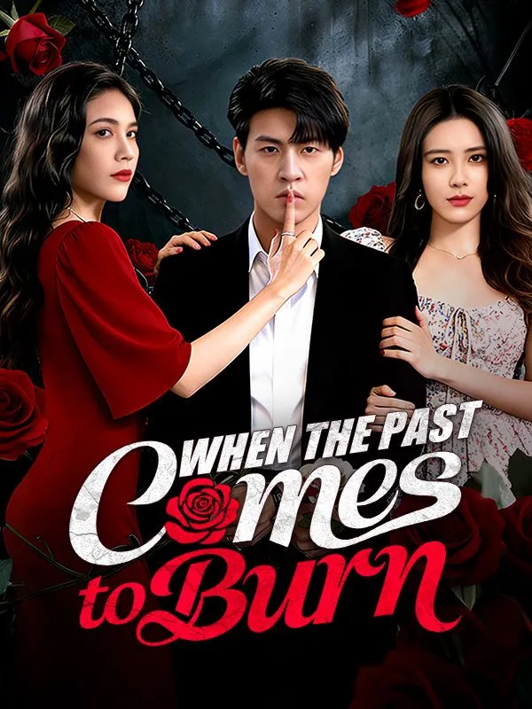 When the Past Comes to Burn (DUBBED) cover