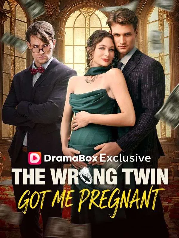 The Wrong Twin Got Me Pregnant cover