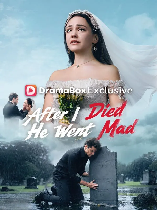 After I Died He Went Mad cover