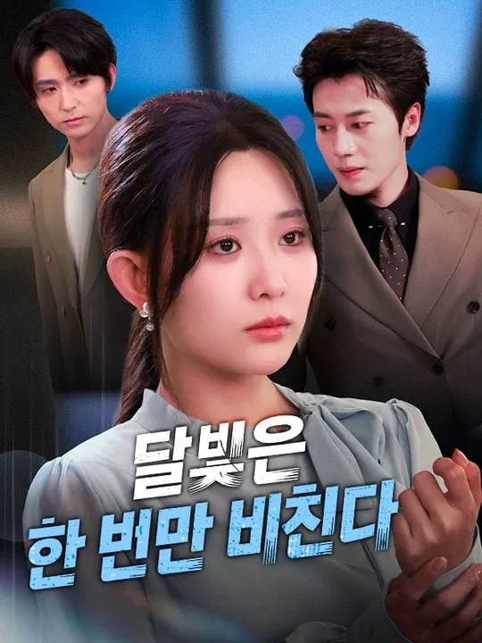 달빛은 한 번만 비친다 표지