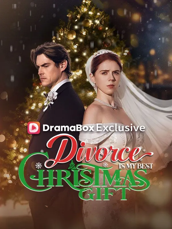 Divorce Is My Best Christmas Gift cover