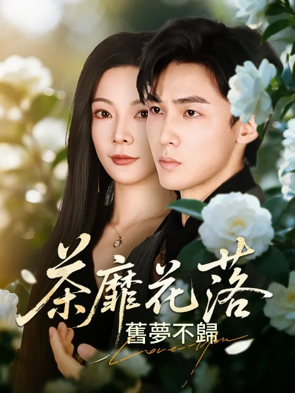 《茶靡花落，舊夢不歸》封面