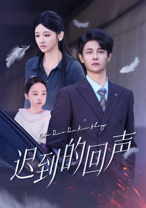 《回聲落地恨已晚》封面