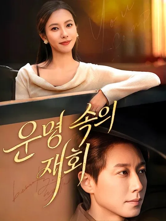 운명 속의 재회 표지