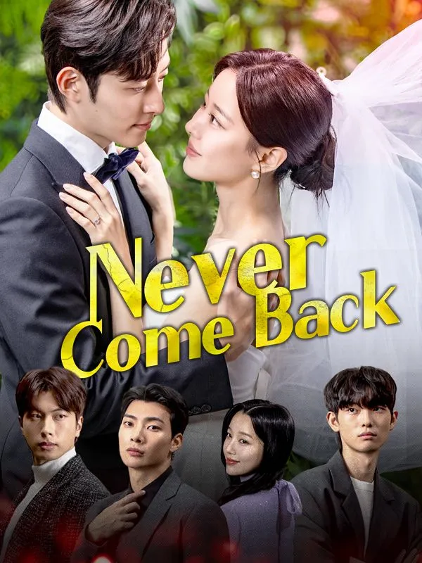Never Come Back cover