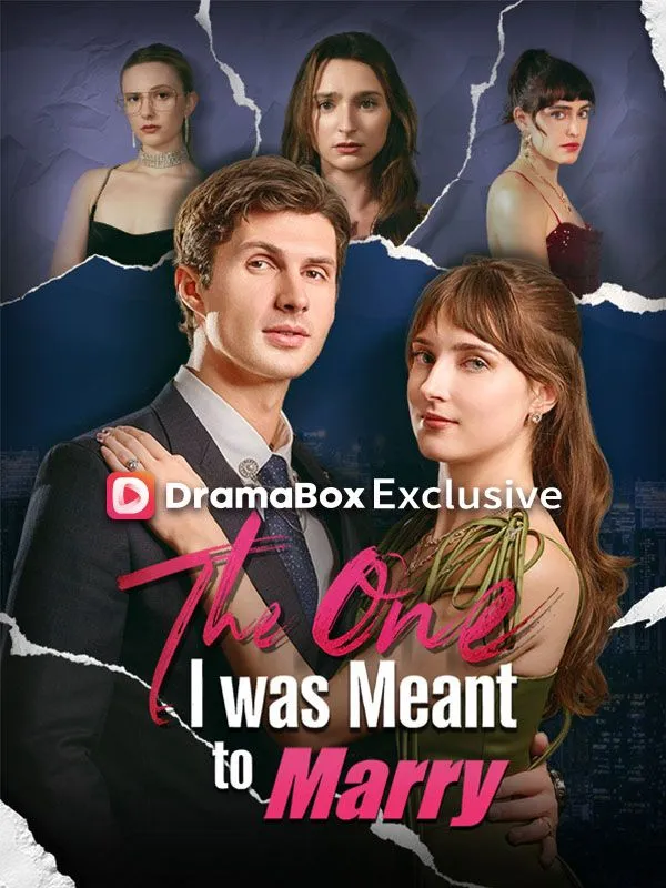 The One I was Meant to Marry cover
