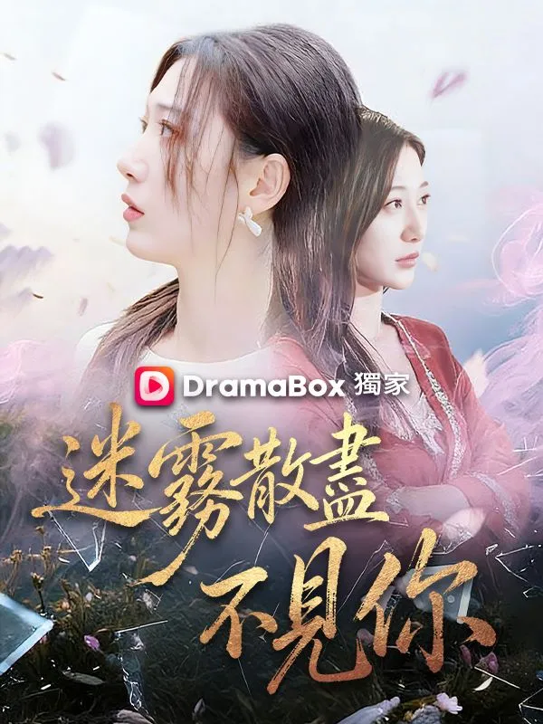 《迷霧散盡不見你》封面