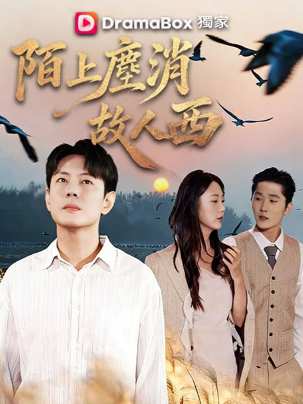 《陌上塵消故人西》封面