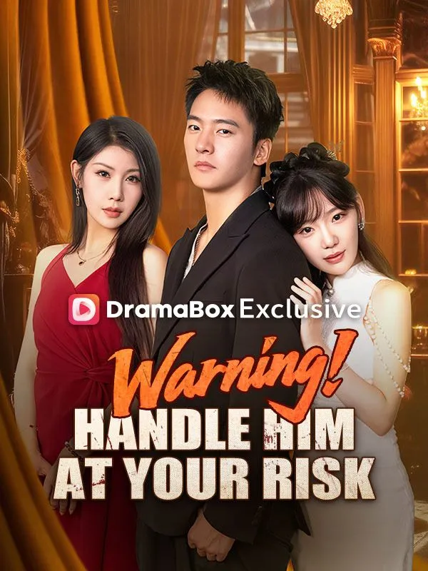 Warning! Handle Him at Your Risk (DUBBED) cover