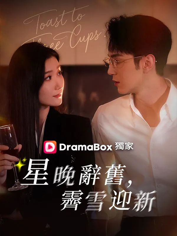 《星晚辭舊，霽雪迎新》封面