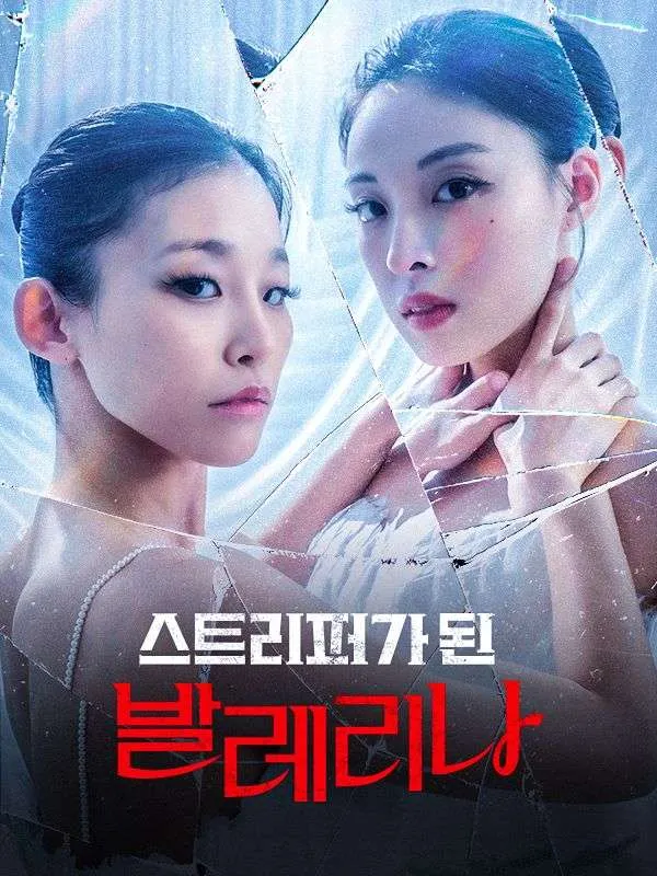 스트리퍼가 된 발레리나 표지