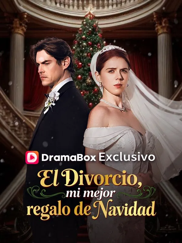 Portada de El divorcio, mi mejor regalo de Navidad