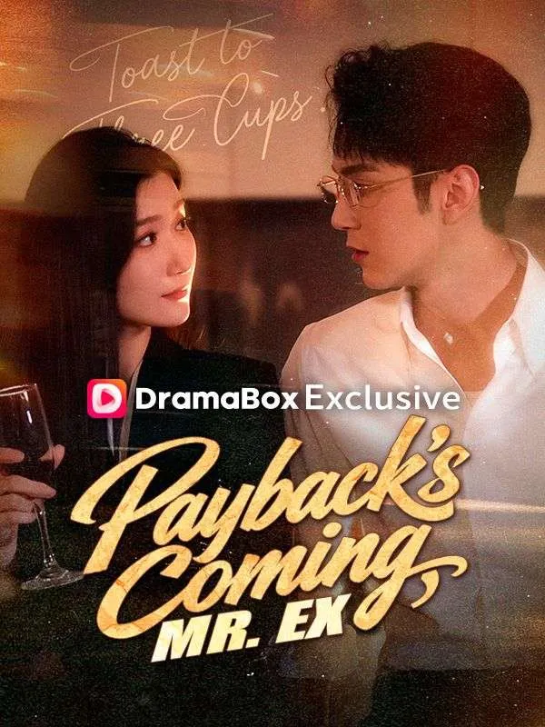 Payback's Coming, Mr. Ex cover