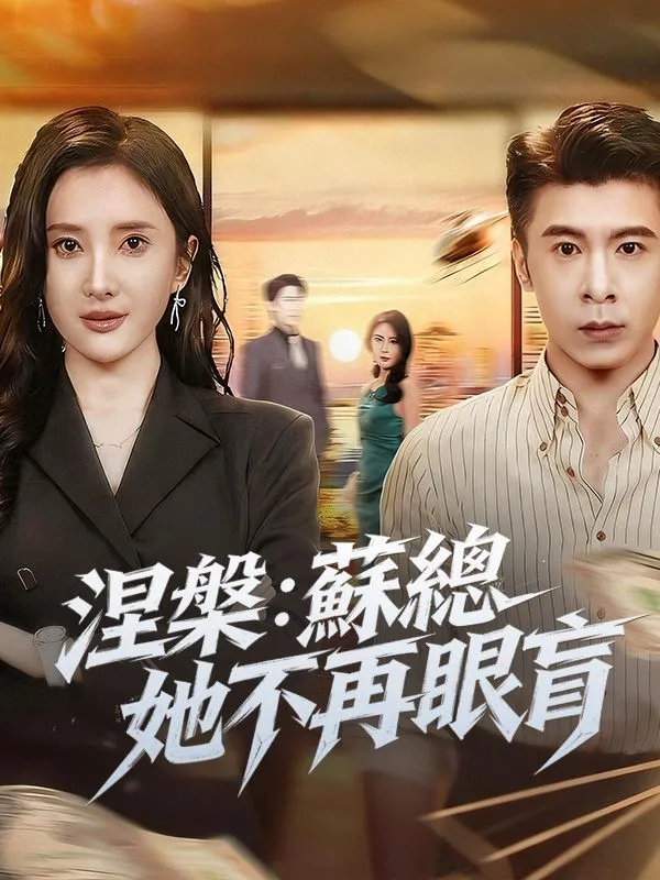 《涅槃：蘇總她不再眼盲》封面