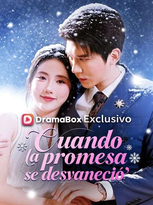 Portada de Cuando la promesa se desvaneció