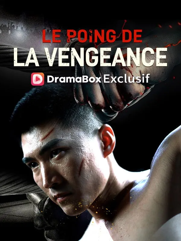Couverture de Le Poing de la Vengeance ( Doublé )