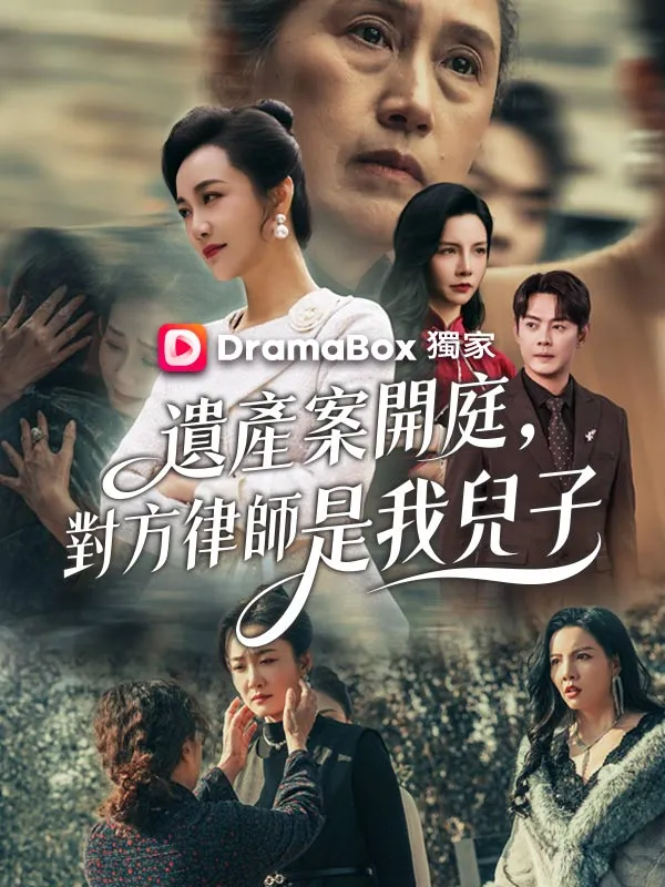 《遺產案開庭，對方律師是我兒子》封面