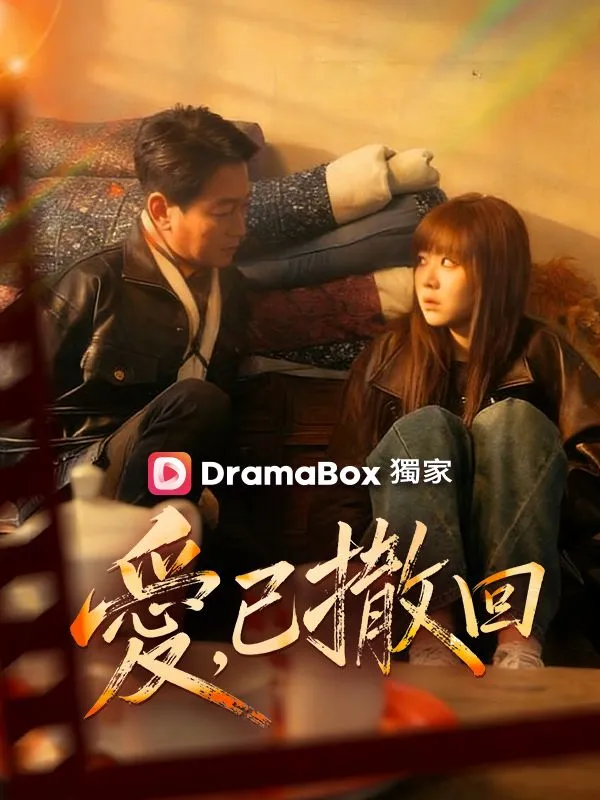 《愛，已撤回》封面