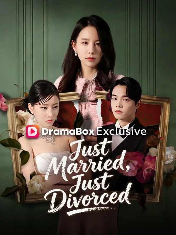 Just Married, Just Divorced cover