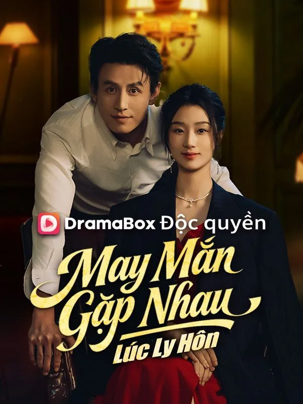 Ảnh bìa May Mắn Gặp Nhau Lúc Ly Hôn