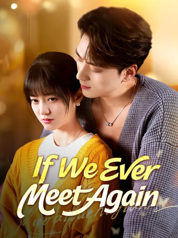 If We Ever Meet Again cover