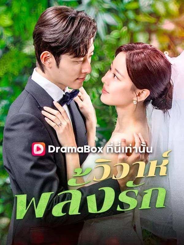 หน้าปกวิวาห์พลั้งรัก(พากย์ไทย)