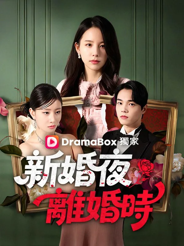 《新婚夜離婚時》封面