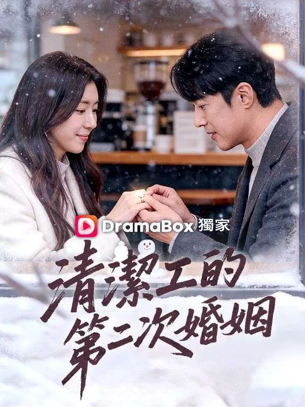 《清潔工的第二次婚姻》封面