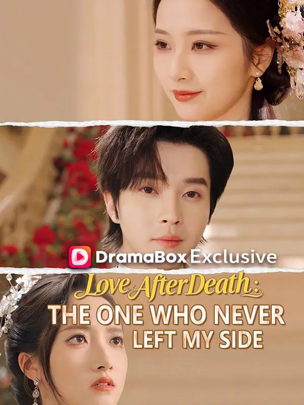 Love After Death: The One Who Never Left My Side cover