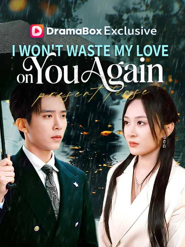 I Won't Waste My Love on You Again cover