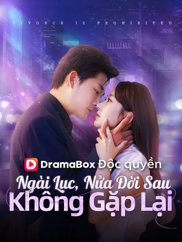 Ảnh bìa Ngài Lục, Nửa Đời Sau Không Gặp Lại