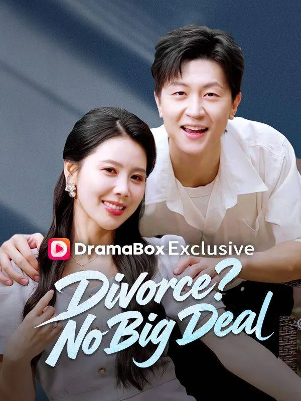 Divorce? No Big Deal (DUBBED) cover