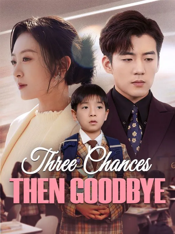Three Chances, Then Goodbye (DUBBED) cover