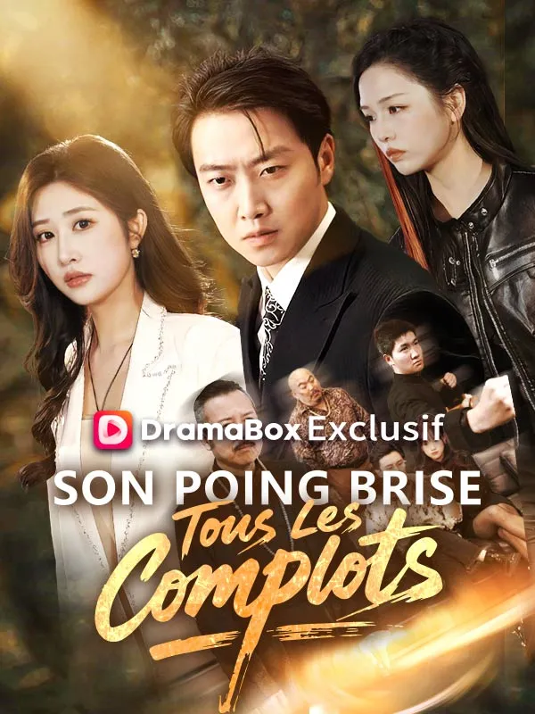 Couverture de Son Poing Brise Tous Les Complots ( Doublé )