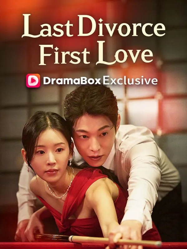 My Last Divorce, My First Love cover