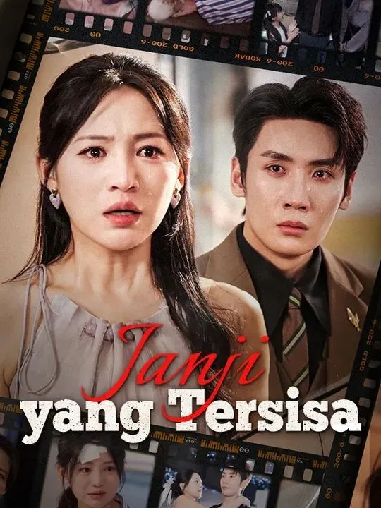 Sampul Janji yang Tersisa (Sulih Suara)