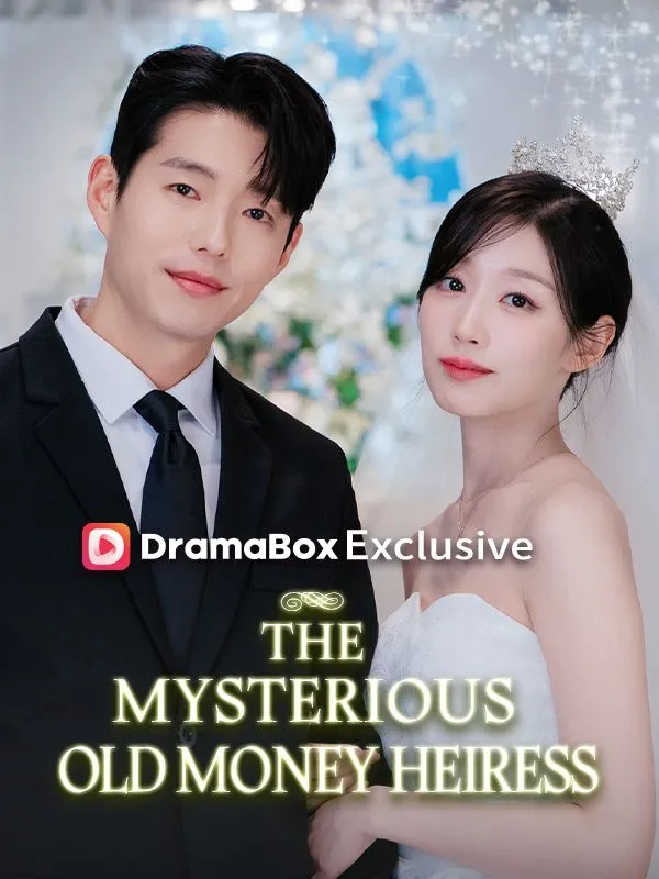 The Mysterious Old Money Heiress cover