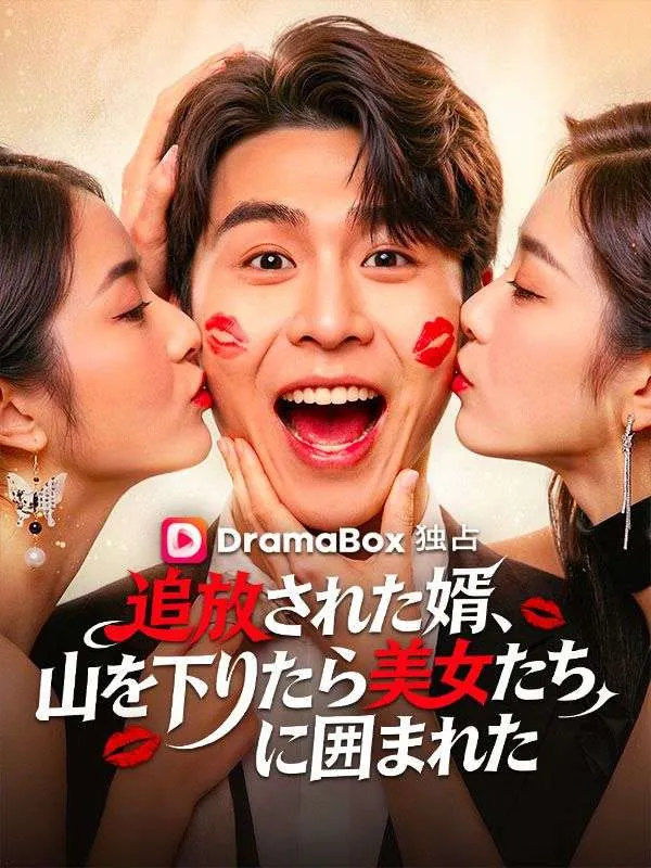「追放された婿、山を下りたら美女たちに囲まれた」のカバー画像