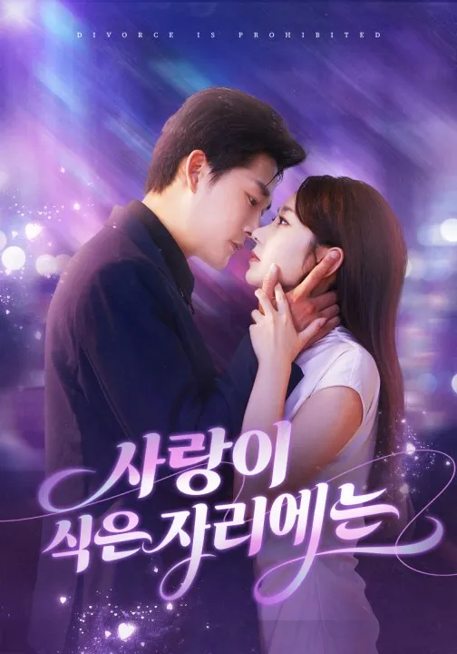 사랑이 식은 자리에는(더빙) 표지