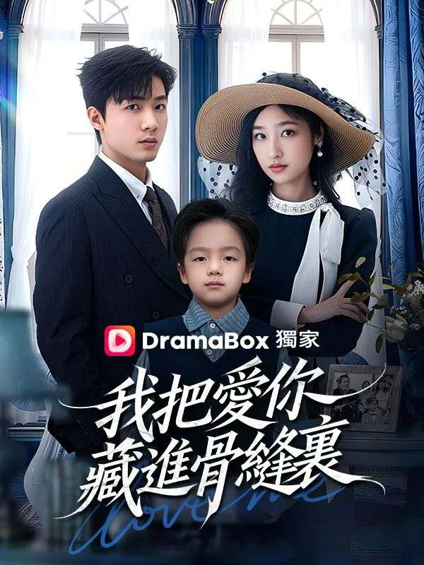 《我把愛你藏進骨縫裏》封面
