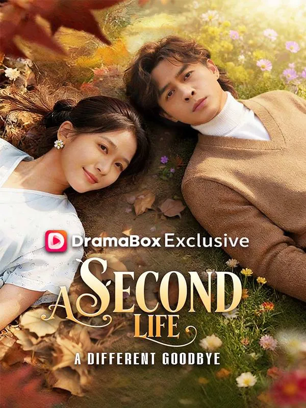 A Second Life, A Different Goodbye cover