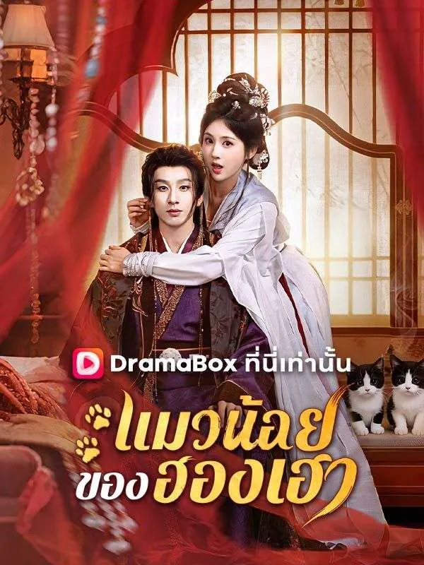 หน้าปกแมวน้อยของฮองเฮา(พากย์ไทย)