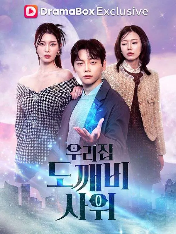 우리집 도깨비 사위 표지